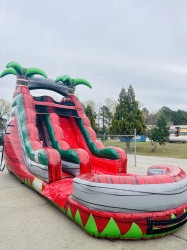 IMG 7482 1774429841 ***NEW*** Ruby Crush Water Slide