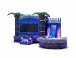 5-in-1 Purple Palms Paradise Bounce House with Slide (DRY)